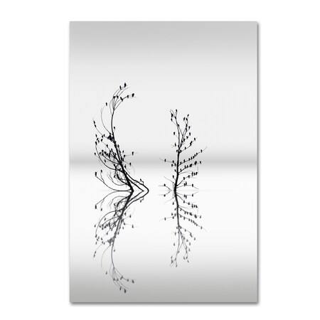 Trademark Fine Art George Digalakis 'Trees With Birds' Canvas Art, 30x47 1X04215-C3047GG